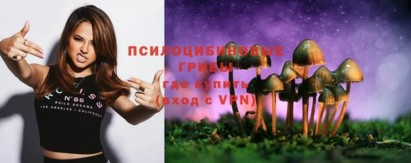 ПСИЛОЦИБИНОВЫЕ ГРИБЫ Белоозёрский