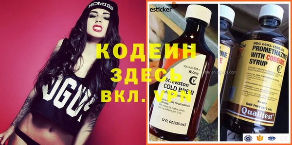 ГАЛЛЮЦИНОГЕННЫЕ ГРИБЫ Каменка